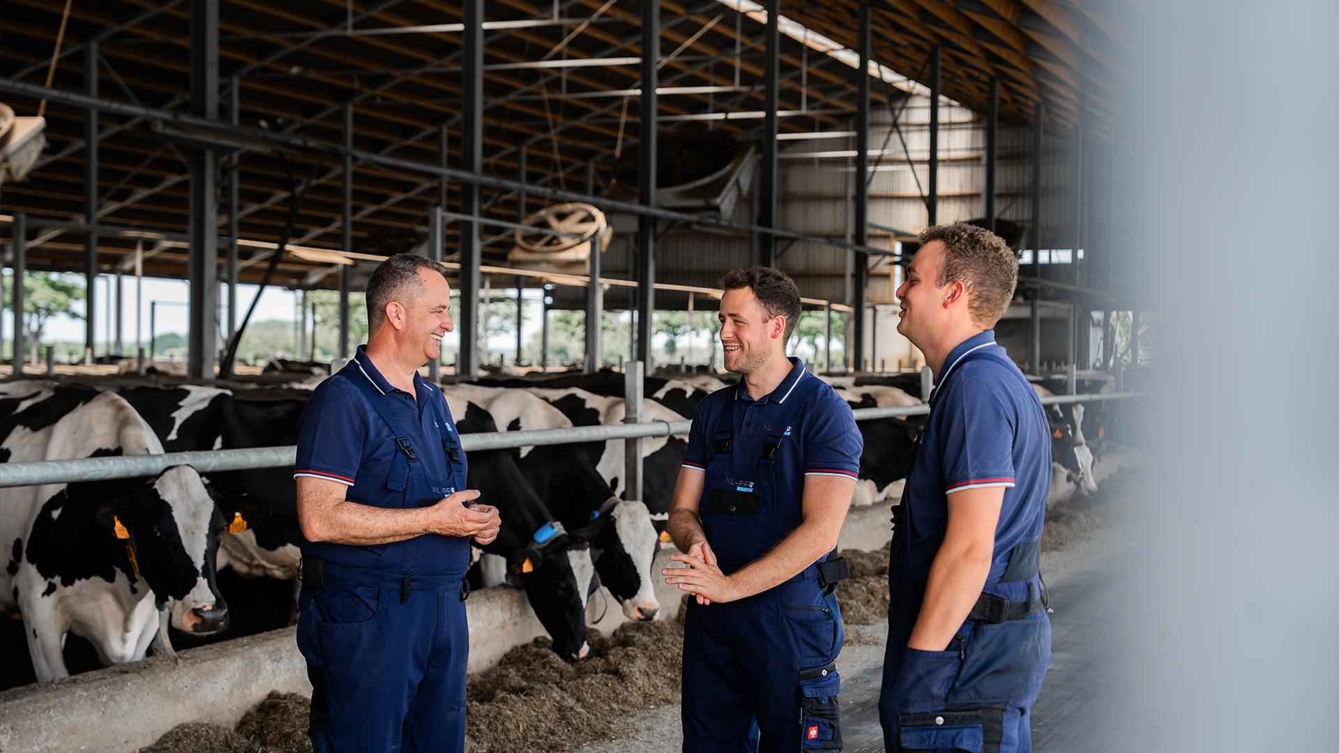 Over Ons | Expert in Professioneel Melken & Hygiëne
