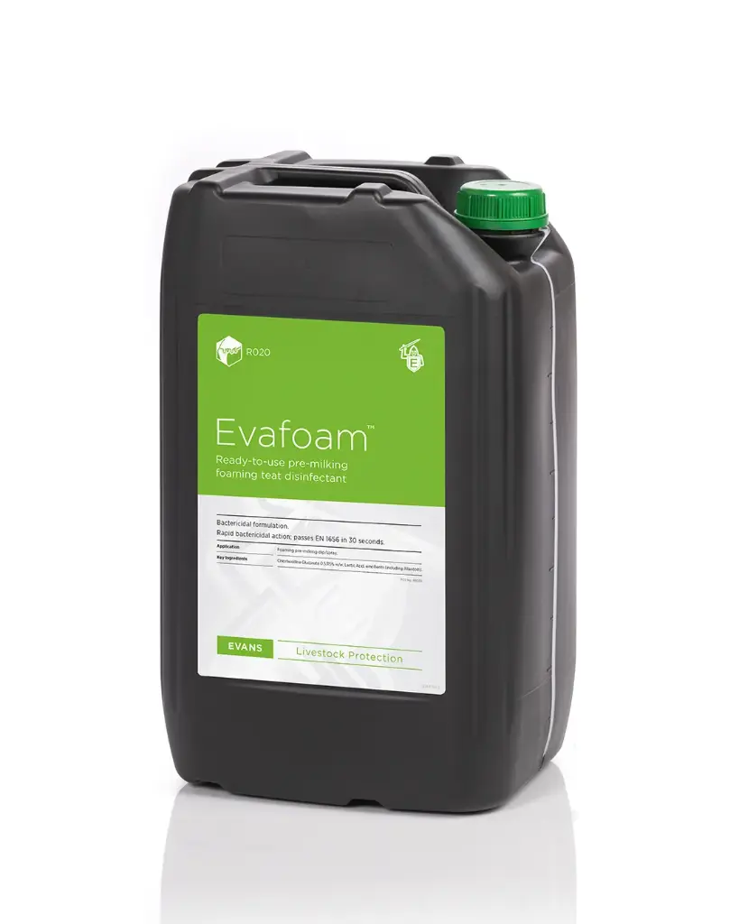 EVAFOAM 25L Mousse de pré-trempage